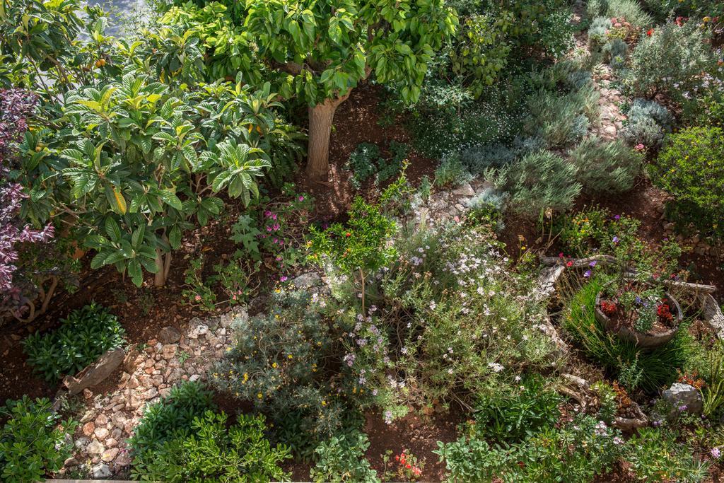 Villa Eleonas فاموس المظهر الخارجي الصورة